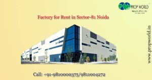 Factory for Rent in Noida Sector-81